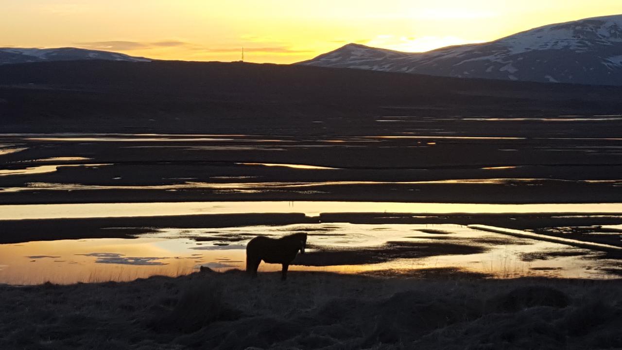 Hofsstadir - Country Hotel Hofstaðir المظهر الخارجي الصورة